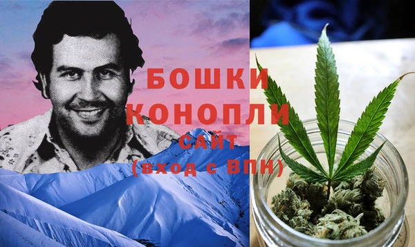 гидра Волосово