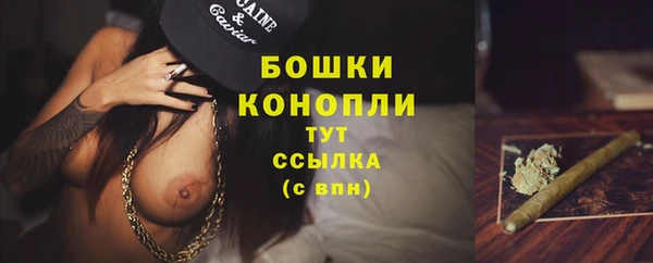 мдпв Вязники