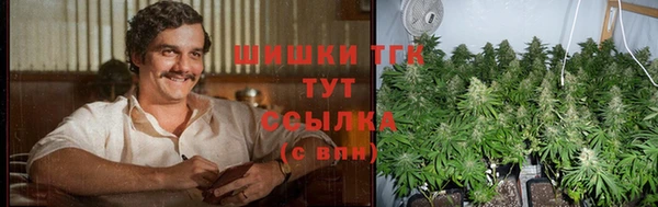 гидра Волосово